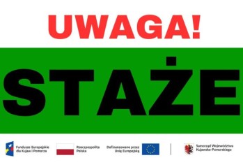 Zdjęcie artykułu Realizacja projektu "Podniesienie aktywności zawodowej klientów publicznych służb zatrudnienia - PUP w Brodnicy (II)"